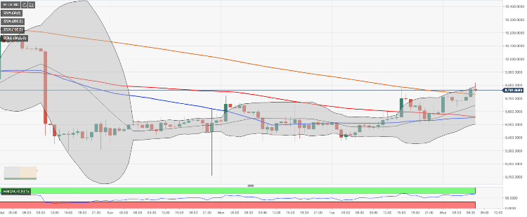 عملة البيتكوين عملة البيتكوين