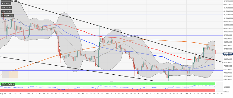 عملة البيتكوين وأهم العوامل التي أدت إلى الارتفاع القوي في أسعار العملات الرقمية الرئيسية