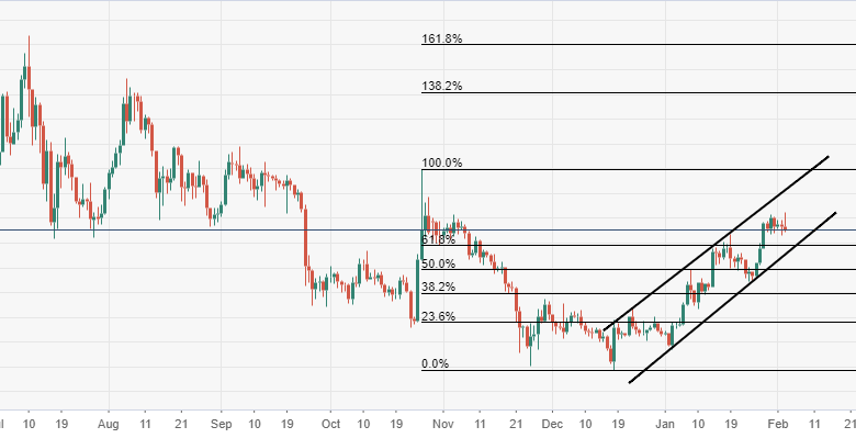 عملة البيتكوين ترتفع في ظل حصد فيروس كورونا المزيد من الأرواح