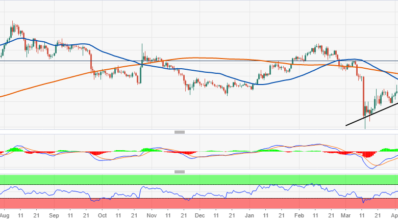 هل ستواصل عملة البيتكوين زخمها الصعودي قبل النصف؟